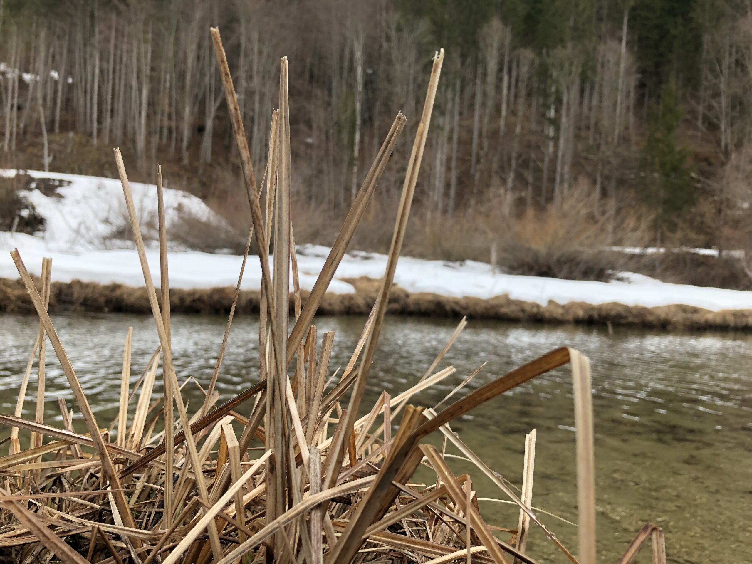 До 17 градусов тепла ожидается в СКО
