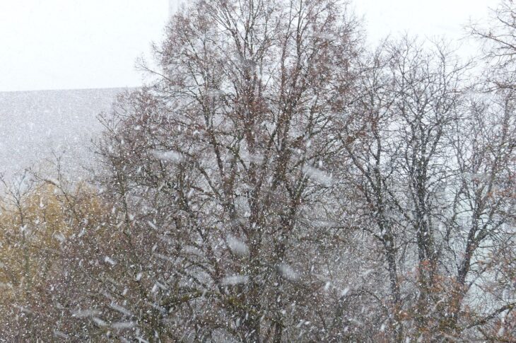 Метель и гололед ожидаются в ближайшие двое суток в Петропавловске
