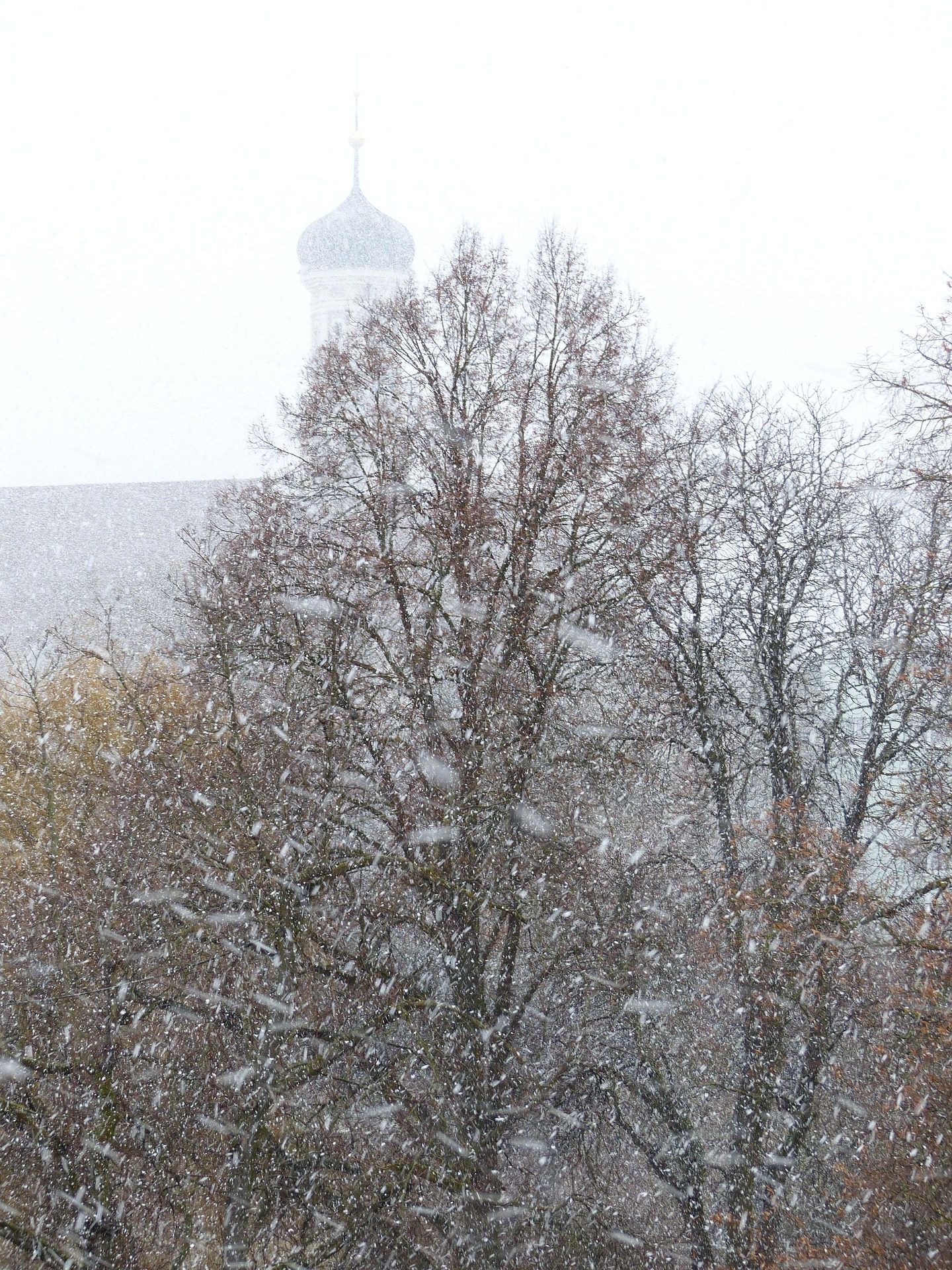 Метель и гололед ожидаются в ближайшие двое суток в Петропавловске