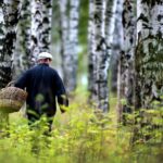 Всех пропавших с начала года полицейские СКО находили в течение суток