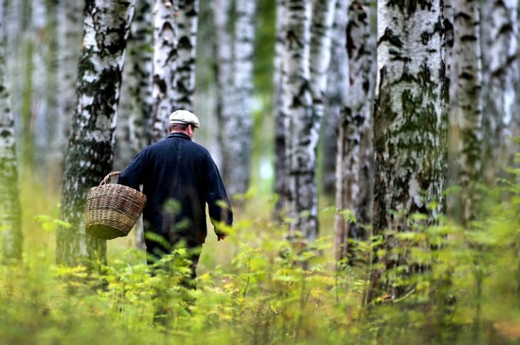 Всех пропавших с начала года полицейские СКО находили в течение суток