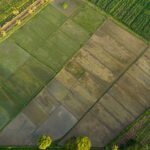 Более 80 неиспользуемых земельных участков выявили в СКО