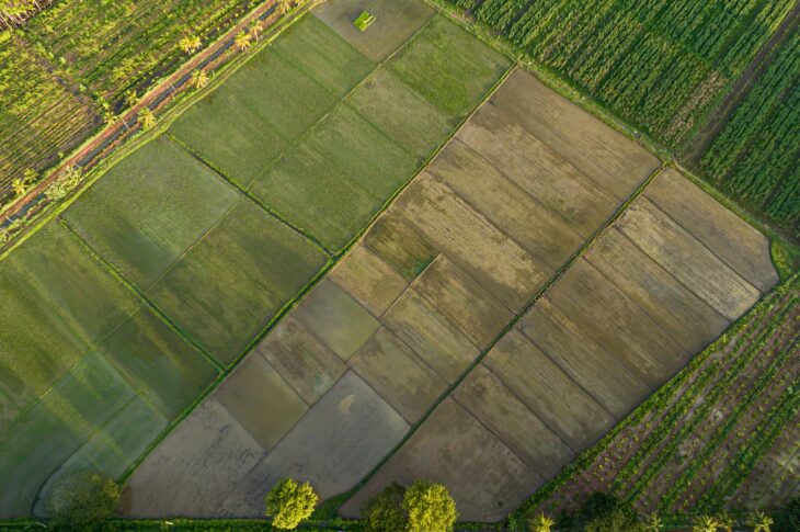 Более 80 неиспользуемых земельных участков выявили в СКО