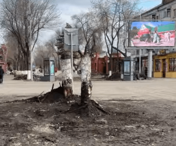 Спил деревьев в центре города прокомментировал аким Петропавловска