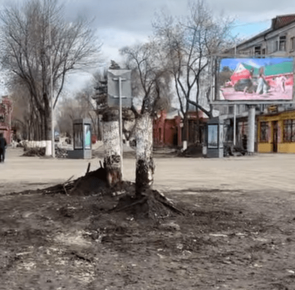 Спил деревьев в центре города прокомментировал аким Петропавловска