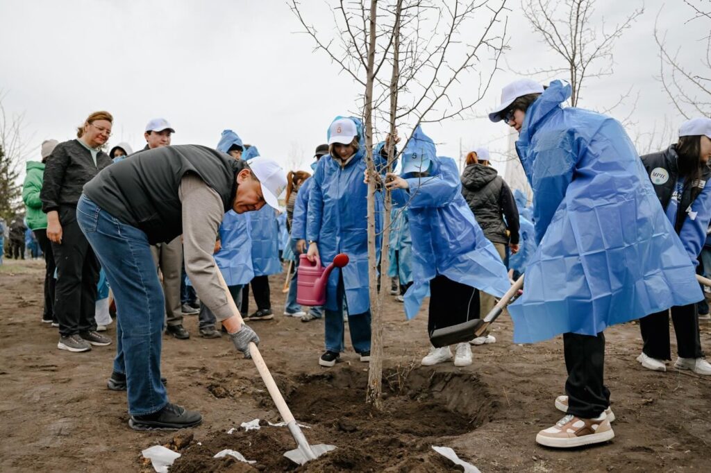 В СКО высадили 70 тыс. деревьев