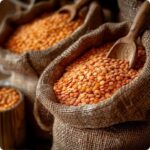 Аграрии СКО заключили контракты на поставку чечевицы в Продкорпорацию