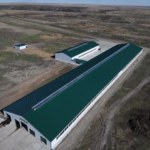 В СКО ферма «Нежинка-Ерке» увеличивает поголовье скота