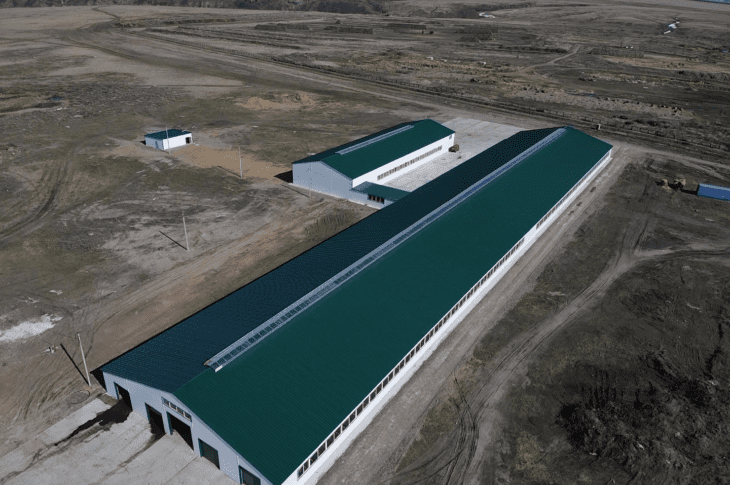 В СКО ферма «Нежинка-Ерке» увеличивает поголовье скота