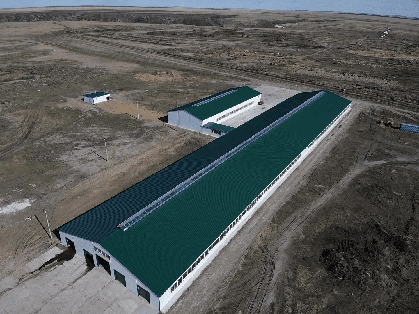 В СКО ферма «Нежинка-Ерке» увеличивает поголовье скота