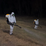 Обработку от клещей начали в Петропавловске