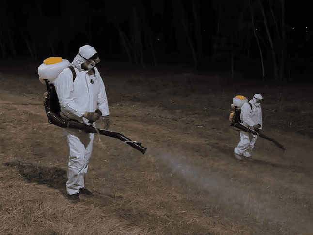 Обработку от клещей начали в Петропавловске