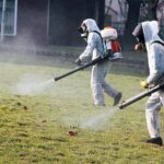 В Петропавловске на борьбу с насекомыми выделили ₸50 млн