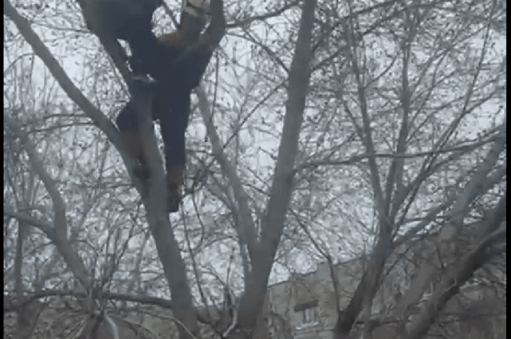 Спасатели сняли с дерева подростка в Петропавловске