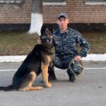 О буднях кинологической службы Петропавловска