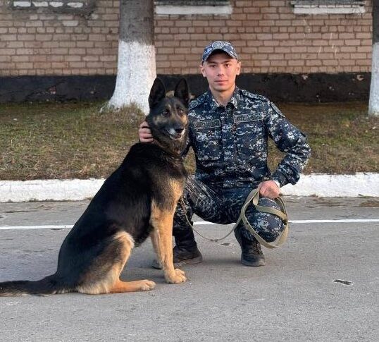 О буднях кинологической службы Петропавловска