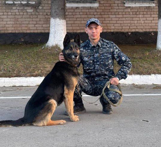 О буднях кинологической службы Петропавловска
