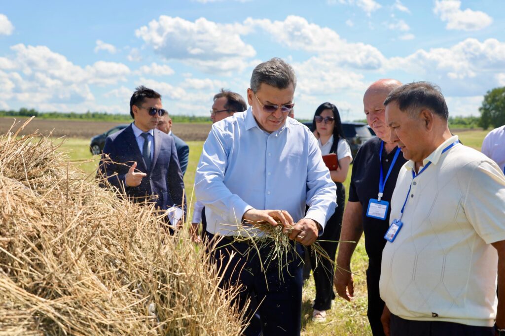 Коневодство развивают в Айыртауском районе