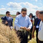 Коневодство развивают в Айыртауском районе
