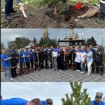 250 деревьев высадили энергетики СКО
