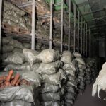 Овощехранилища на 100 тыс. тонн действуют в СКО