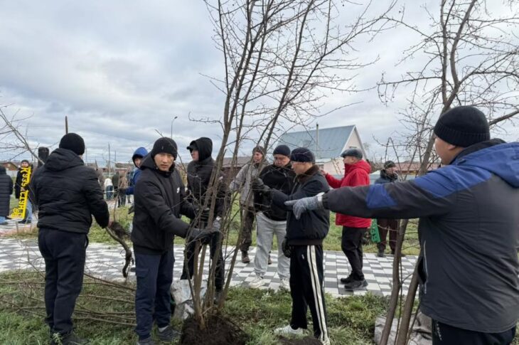 В Петропавловске открыли «Аллею волонтеров-2026»