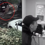 Штраф за сломанный шлагбаум получил житель Петропавловска