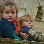 Как Цифровая карта семьи оценивает жителей СКО