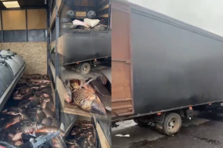 В СКО изъяли 1700 кг незаконно добытой рыбы