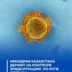 Эпидситуация по оспе обезьян - на контроле Минздрава РК