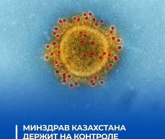 Эпидситуация по оспе обезьян - на контроле Минздрава РК