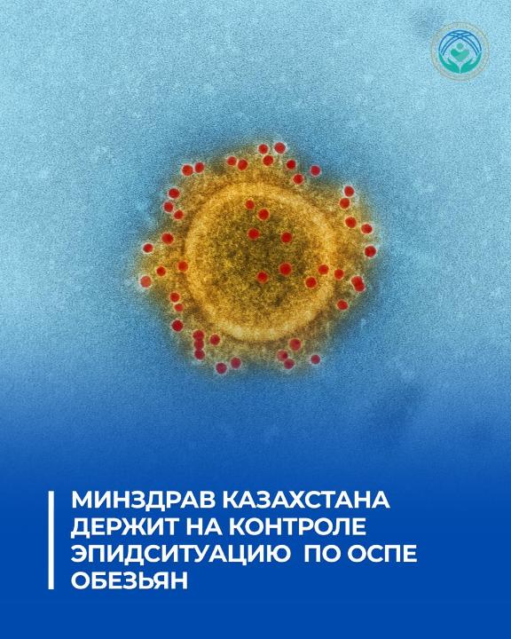 Эпидситуация по оспе обезьян - на контроле Минздрава РК