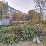 За ветки на мусорке грозит штраф в Петропавловске