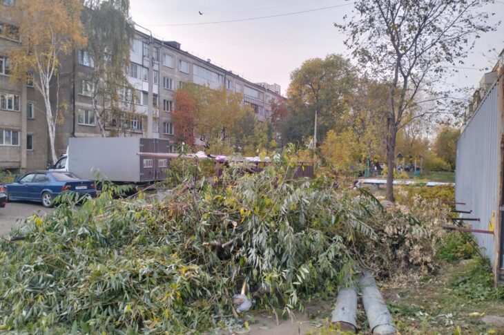 За ветки на мусорке грозит штраф в Петропавловске
